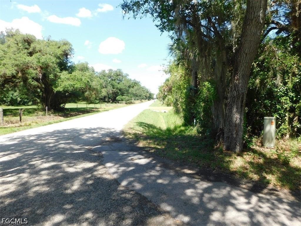 a view of a yard with a tree