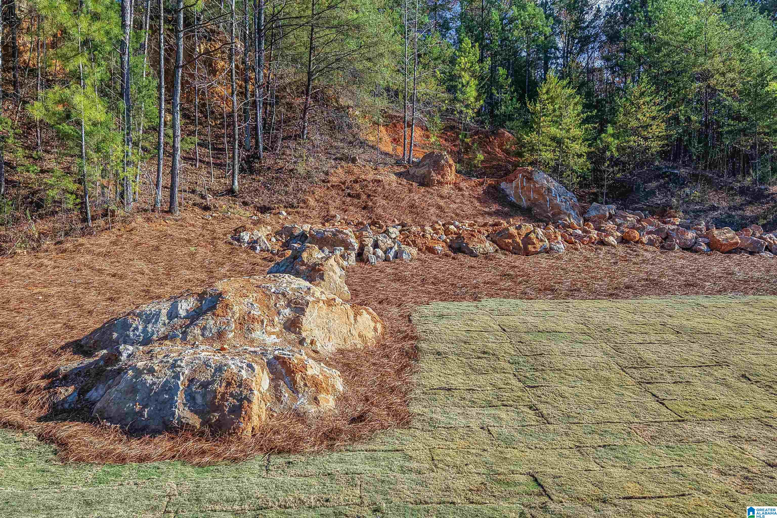 2464 Spring Creek Road Montevallo, AL 35115 - Photo 46 of 52