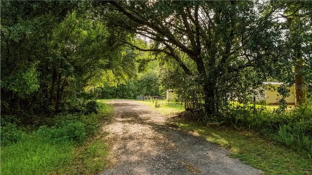 a view of a pathway both side of yard