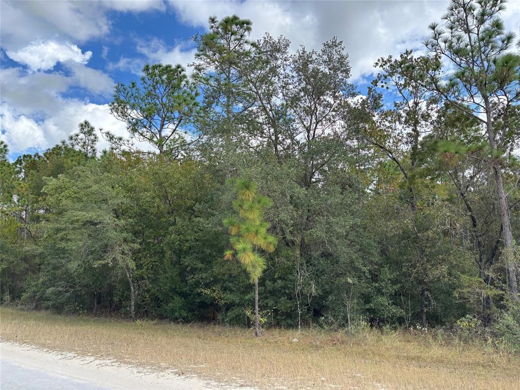 17 Canyon Swallow Road Weeki Wachee, FL 34614 - Photo 2 of 6