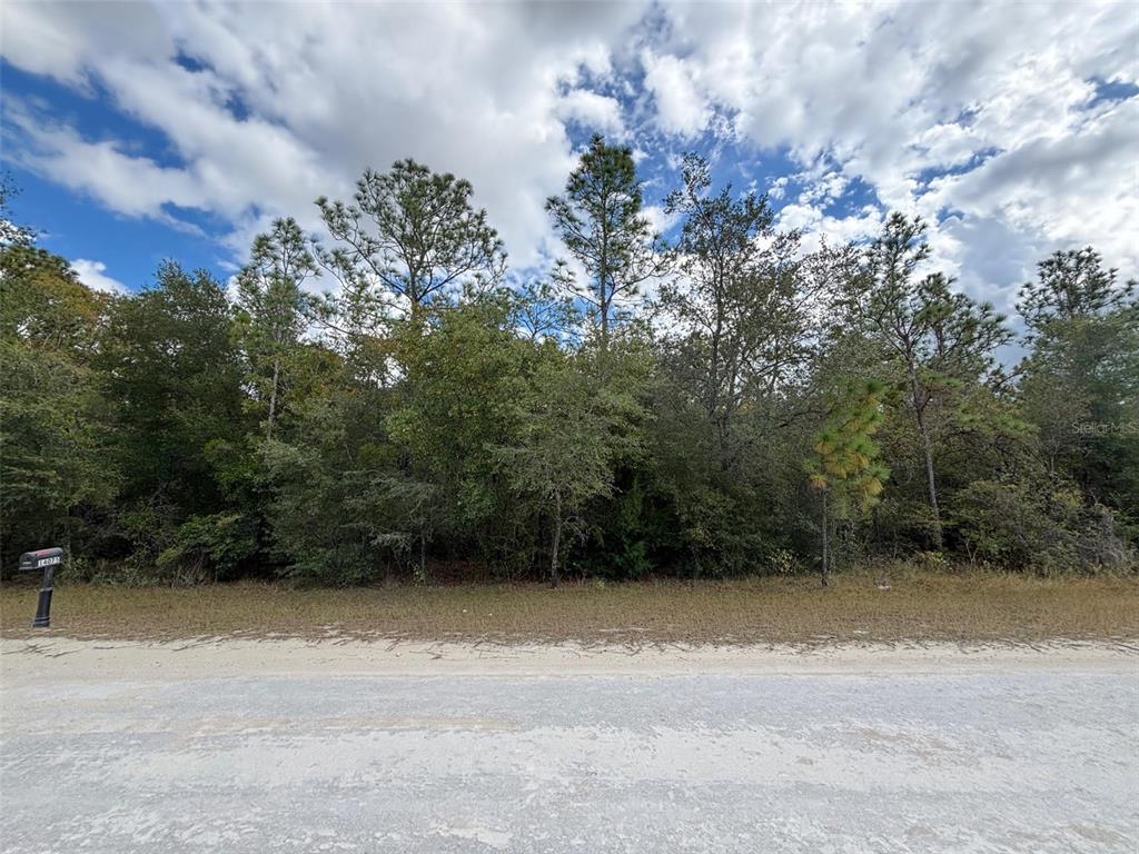 17 Canyon Swallow Road Weeki Wachee, FL 34614 - Photo 3 of 6