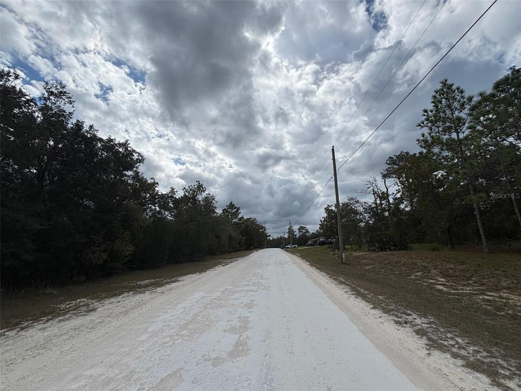 17 Canyon Swallow Road Weeki Wachee, FL 34614 - Photo 4 of 6
