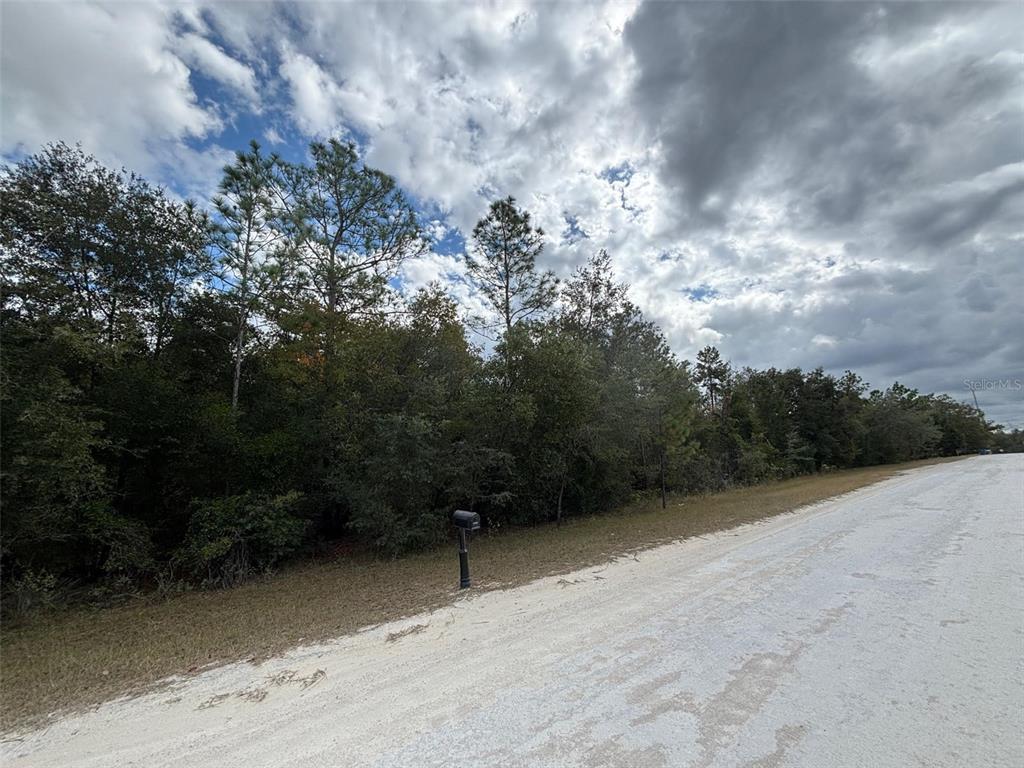 17 Canyon Swallow Road Weeki Wachee, FL 34614 - Photo 6 of 6
