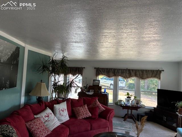 8201 Old San Isabel Road Rye, CO 81069 - Photo 18 of 30 Carpeted living room with a textured ceiling