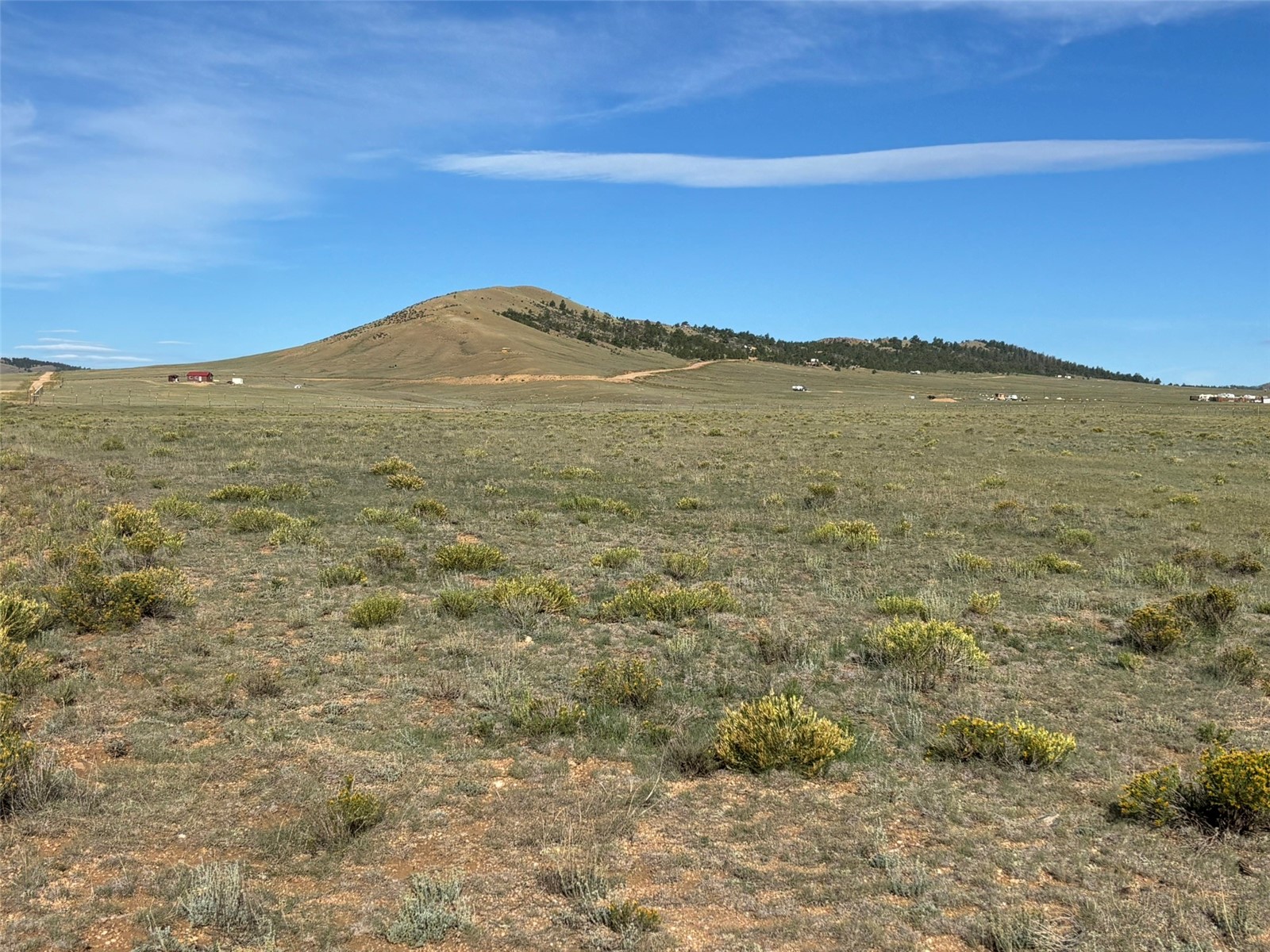 6561 Jackson Road Hartsel, CO 80449 - Photo 8 of 20 Gallery Image 8