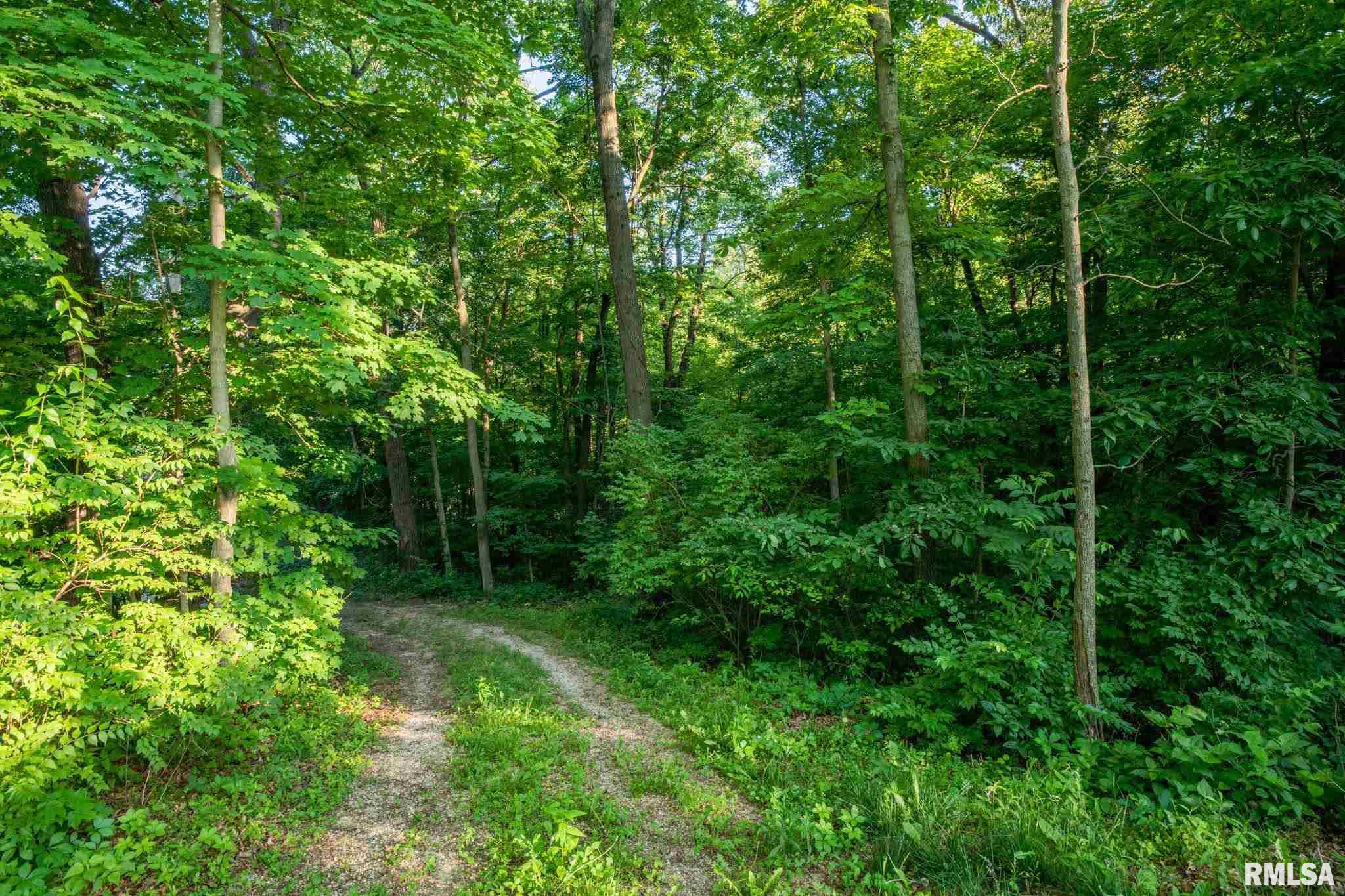 9181 South Powell Road Mapleton, IL 61547 - Photo 8 of 43