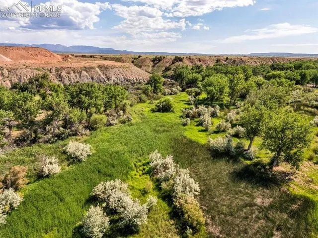 a view of an ocean and a mountain
