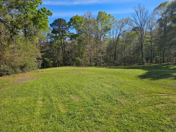 a view of a field with trees in the background