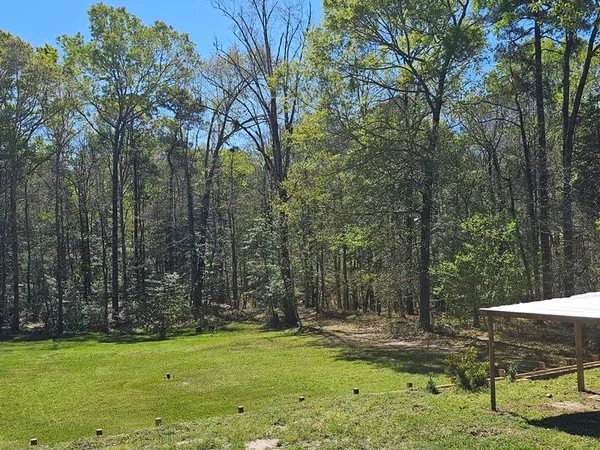 a view of a yard with large trees