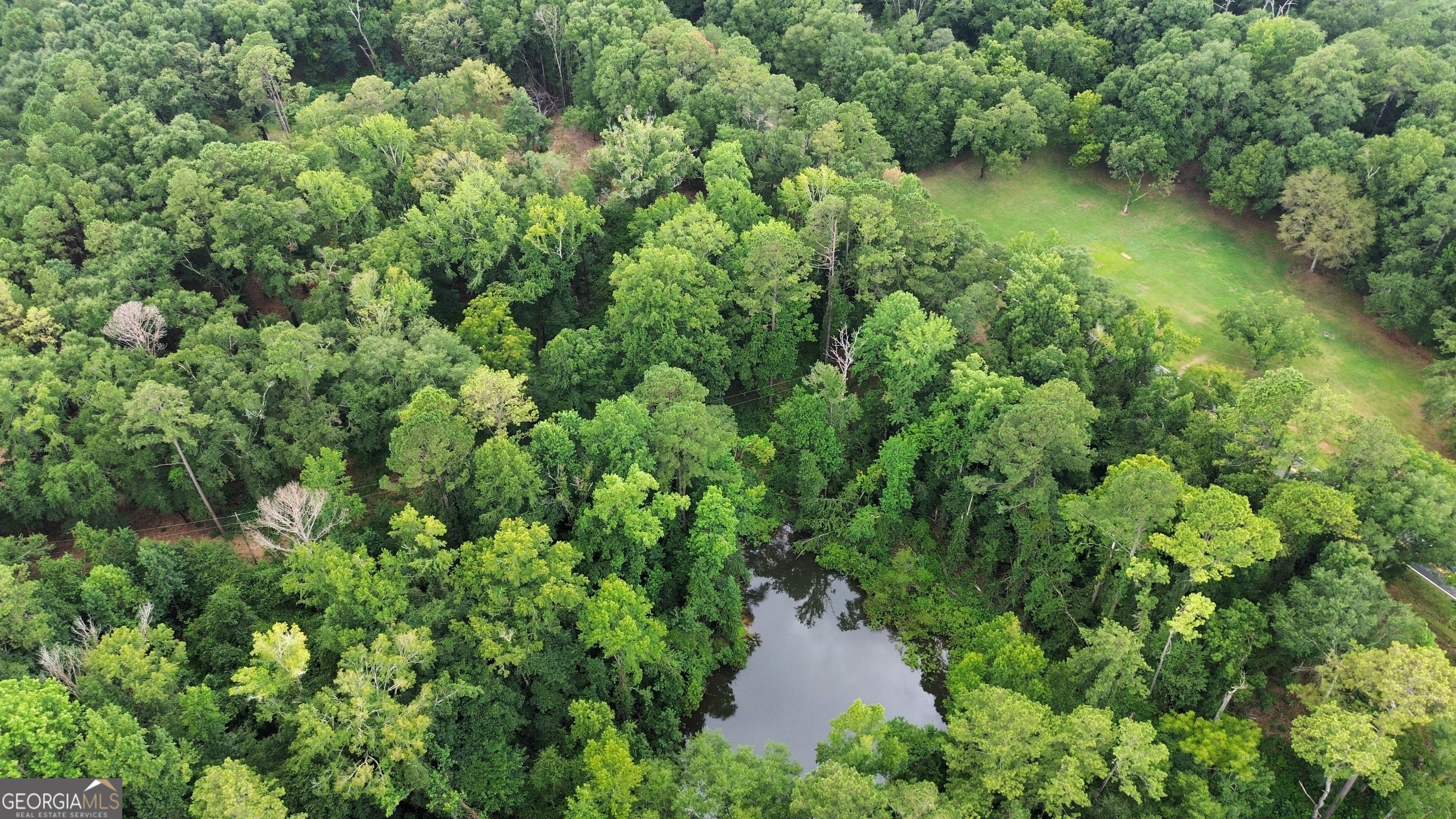 1146 Whipples Crossing Road Dublin, GA 31021 - Photo 1 of 1 an aerial view of a house with a yard