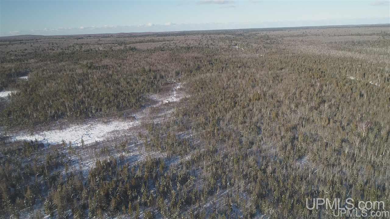 80-acres Co Rd N415 McMillan, MI 49853 - Photo 31 of 36