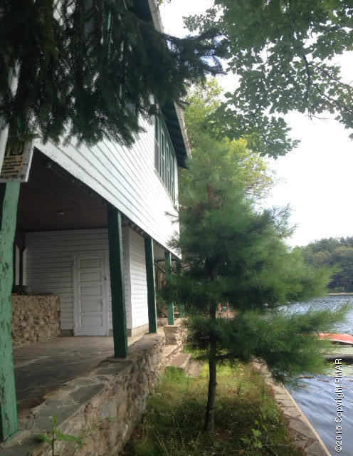 258 Echo Road Saylorsburg, PA 18353 - Photo 3 of 11 a backyard of a house with plants and large trees