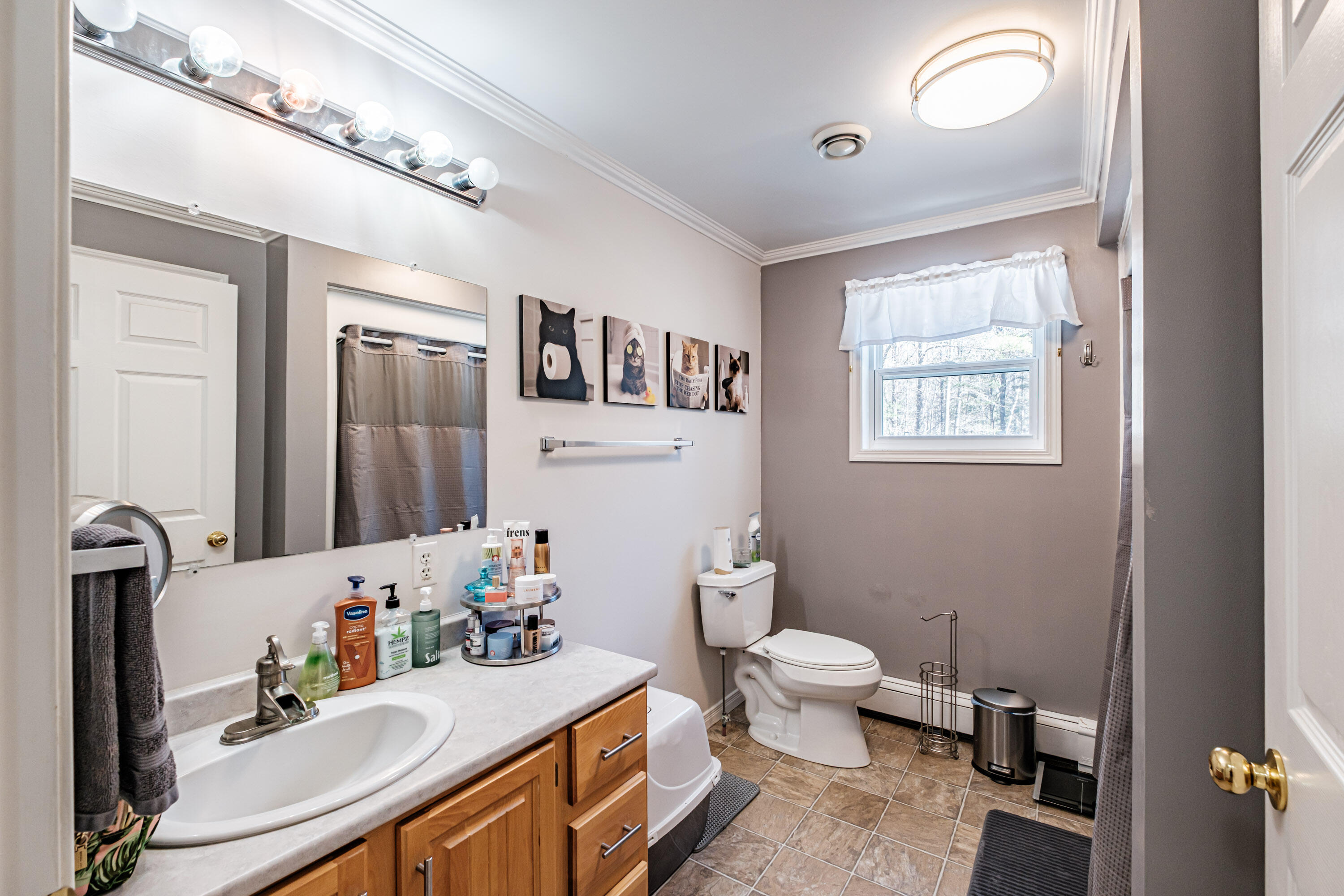 135 Roxbury Pond Road Andover, ME 04216 - Photo 21 of 47 20260421gp-60045