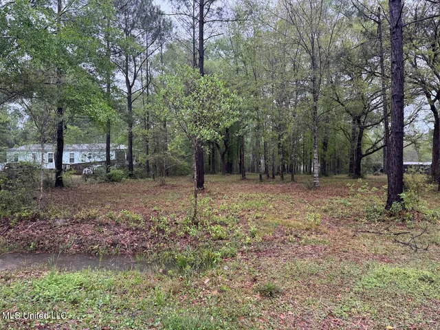 $32,000 | 0 Camellia Street, Kiln, MS 39556