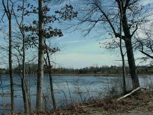 11022 Austin Road Brooklyn, MI 49230 - Photo 3 of 22 Photo 3