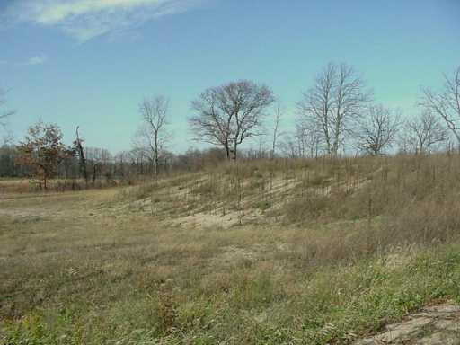 11022 Austin Road Brooklyn, MI 49230 - Photo 8 of 22 Photo 8