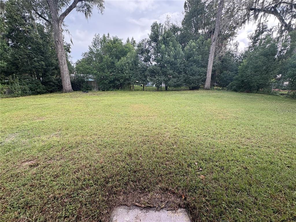 1236 Northeast 22nd Street Ocala, FL 34470 - Photo 13 of 42 a view of a yard with a trees