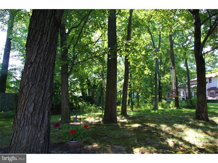 217 Knapp Road Lansdale, PA 19446 - Photo 22 of 24 Back Yard