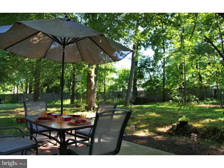 217 Knapp Road Lansdale, PA 19446 - Photo 23 of 24 Back Yard