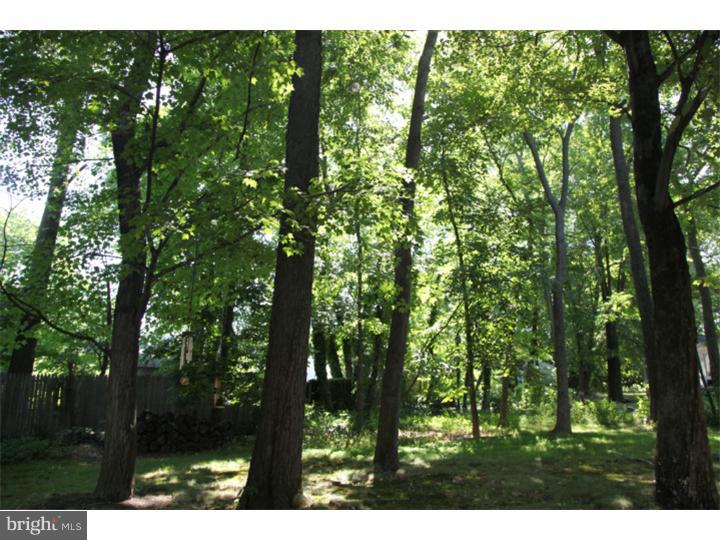 217 Knapp Road Lansdale, PA 19446 - Photo 24 of 24 Back Yard