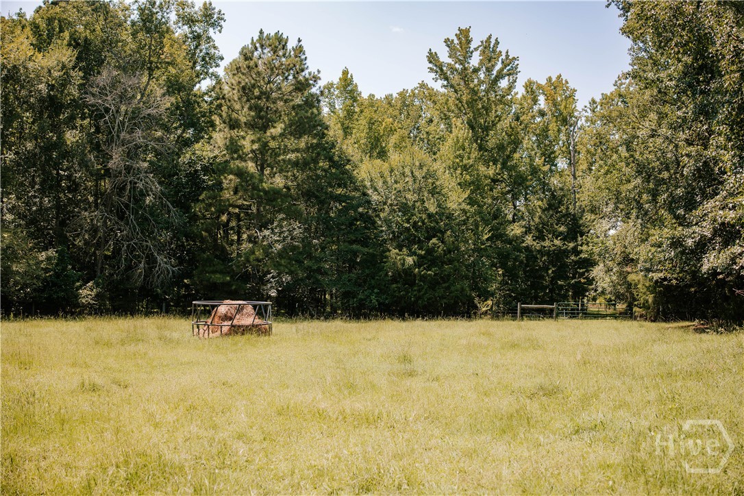 6 Burt Road Carlton, GA 30627 - Photo 54 of 58 Gallery Image 54