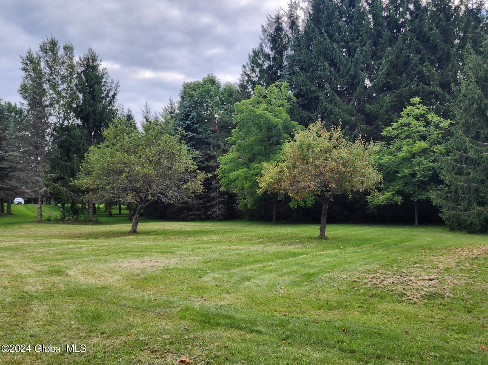 222 Stone Ridge Drive Summit, NY 12093 - Photo 13 of 72 20240823_170038