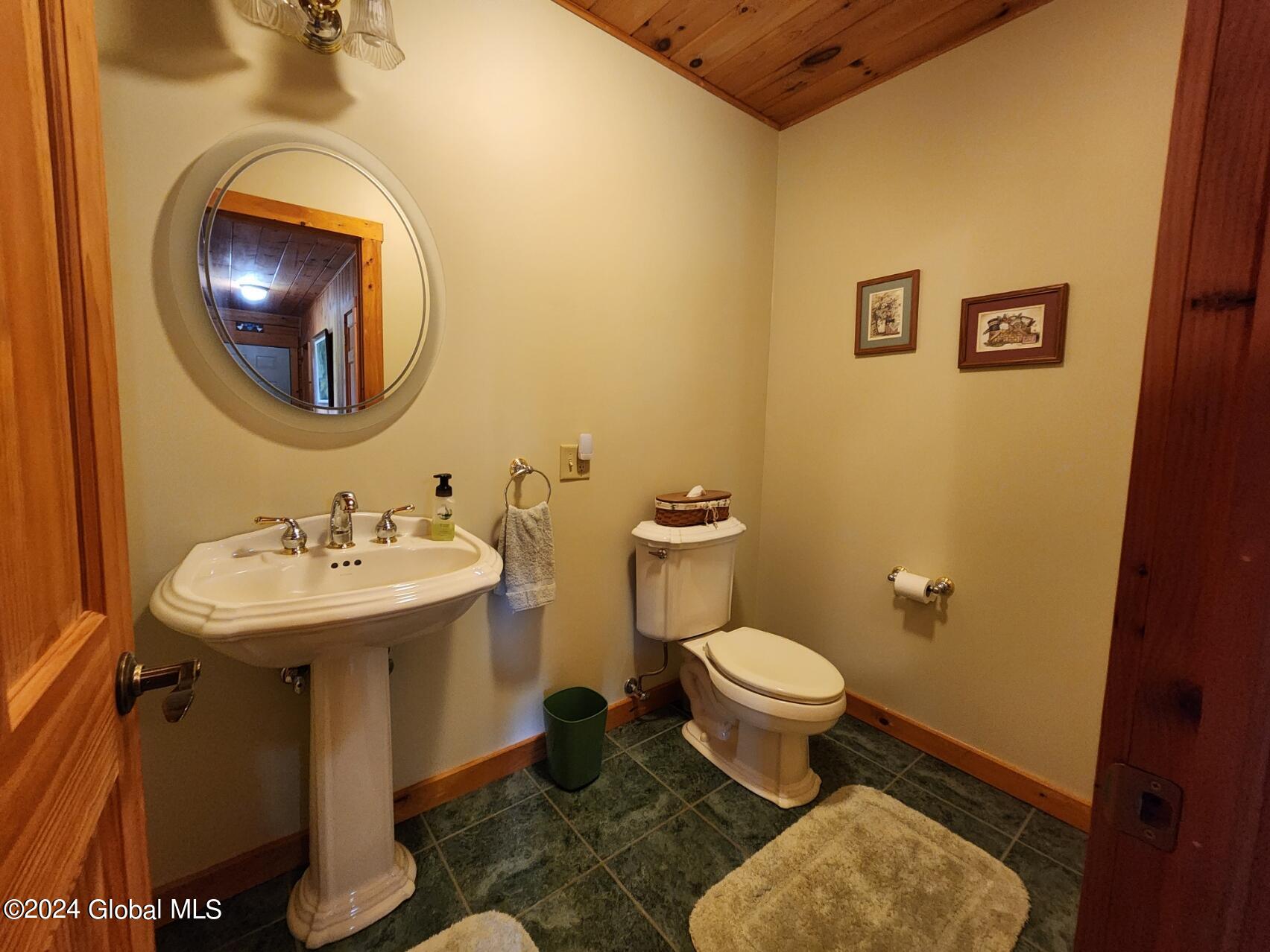 222 Stone Ridge Drive Summit, NY 12093 - Photo 36 of 72 20240823_162815