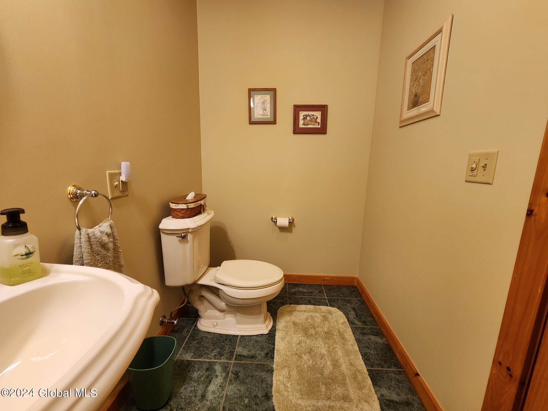 222 Stone Ridge Drive Summit, NY 12093 - Photo 40 of 72 20240823_162917