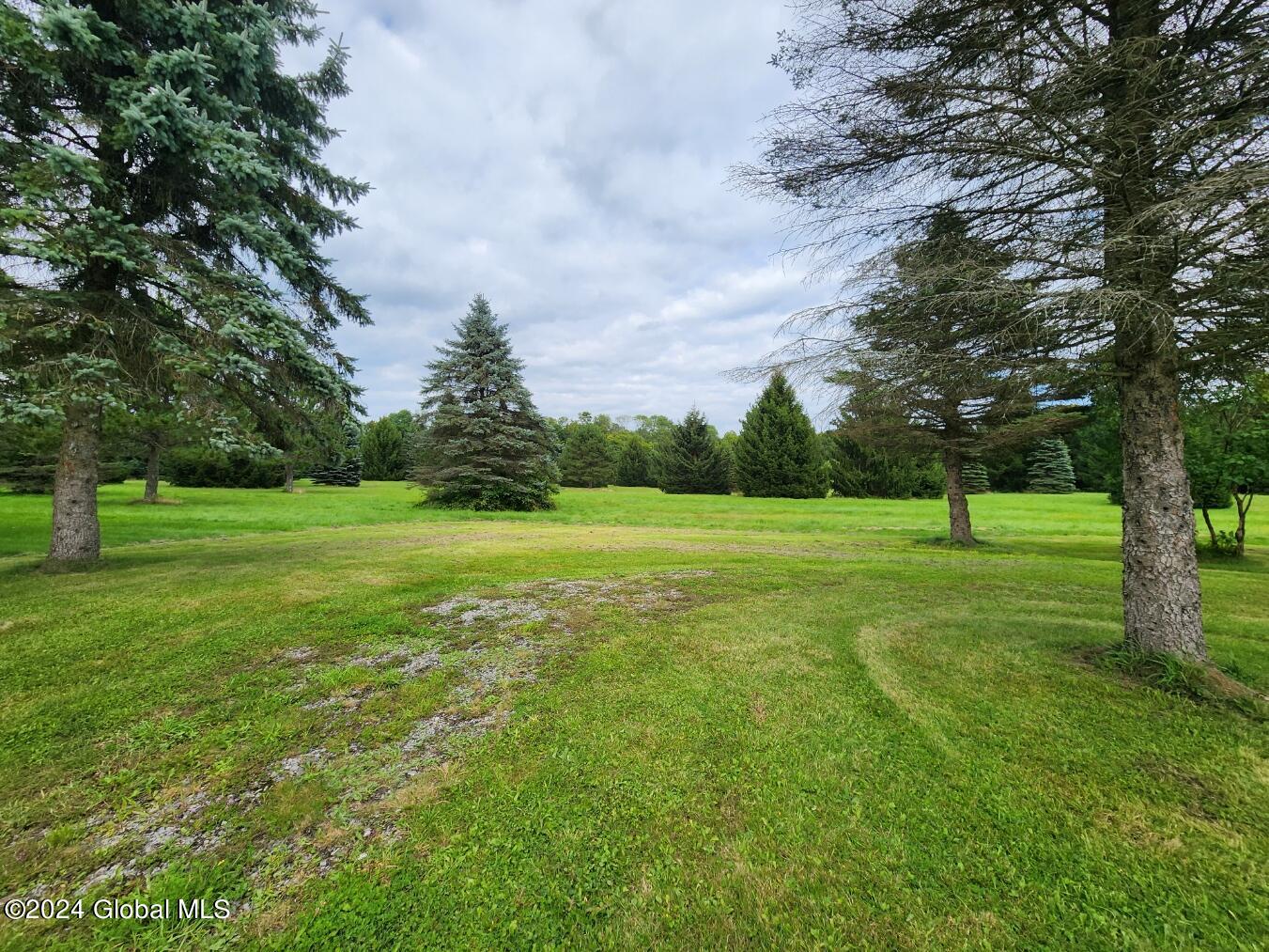 222 Stone Ridge Drive Summit, NY 12093 - Photo 55 of 72 20240823_165536