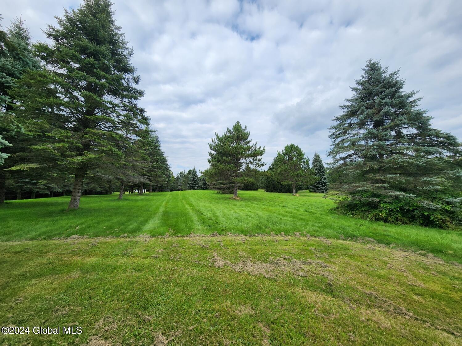 222 Stone Ridge Drive Summit, NY 12093 - Photo 57 of 72 20240823_165557
