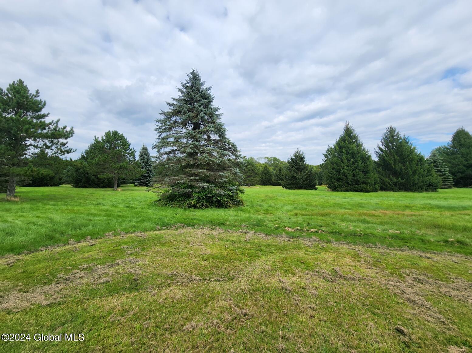 222 Stone Ridge Drive Summit, NY 12093 - Photo 58 of 72 20240823_165559