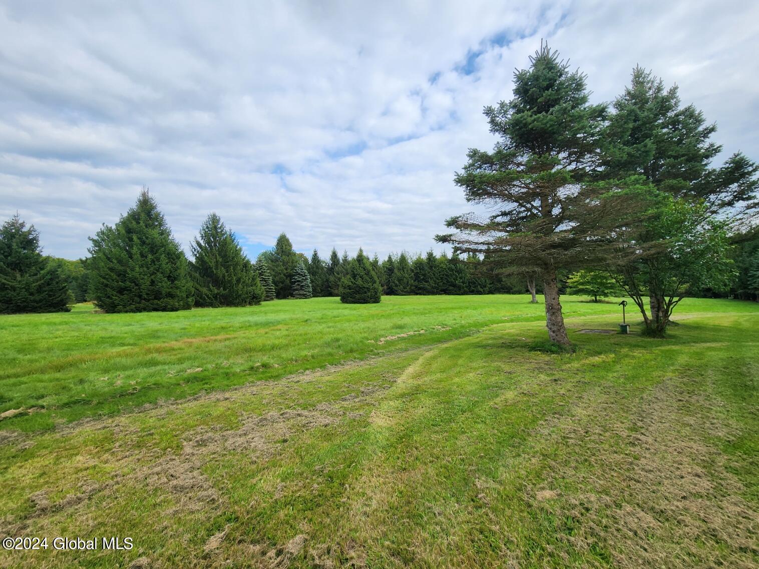 222 Stone Ridge Drive Summit, NY 12093 - Photo 59 of 72 20240823_165602