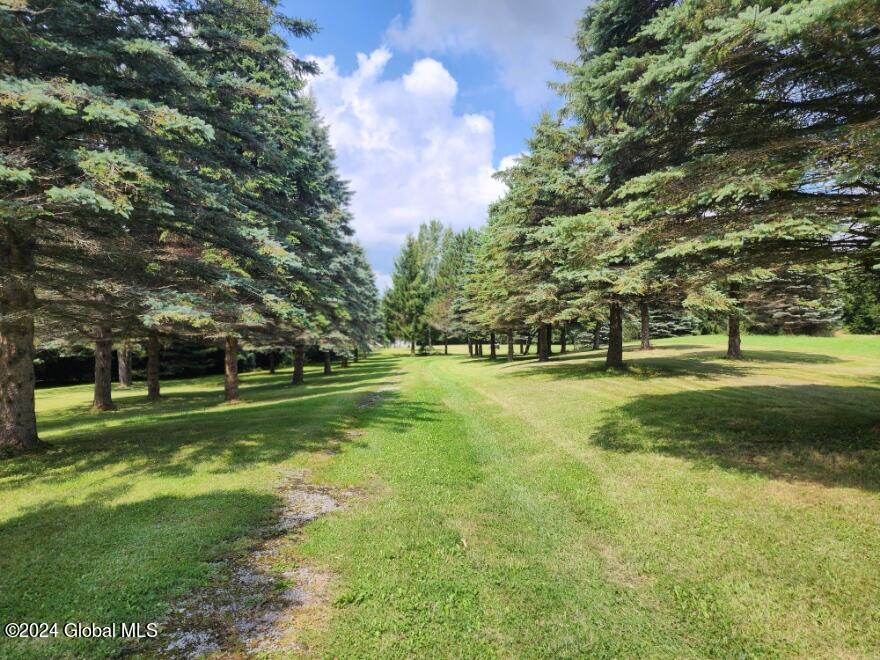 222 Stone Ridge Drive Summit, NY 12093 - Photo 6 of 72 20240804_141922
