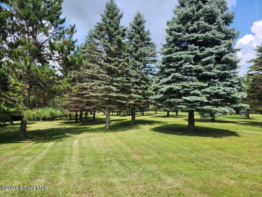 222 Stone Ridge Drive Summit, NY 12093 - Photo 66 of 72 20240804_141852
