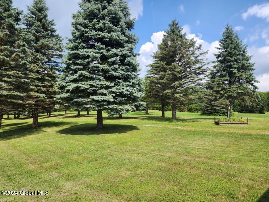 222 Stone Ridge Drive Summit, NY 12093 - Photo 68 of 72 20240804_141858