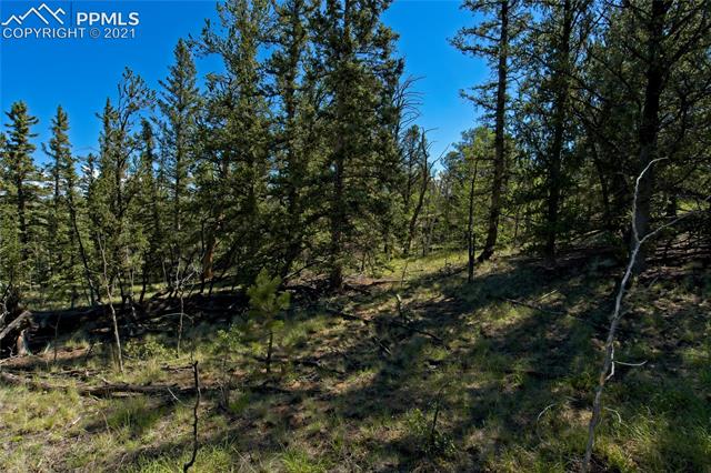 92 Old Squaw Road Como, CO 80432 - Photo 11 of 49 Gallery Image 11