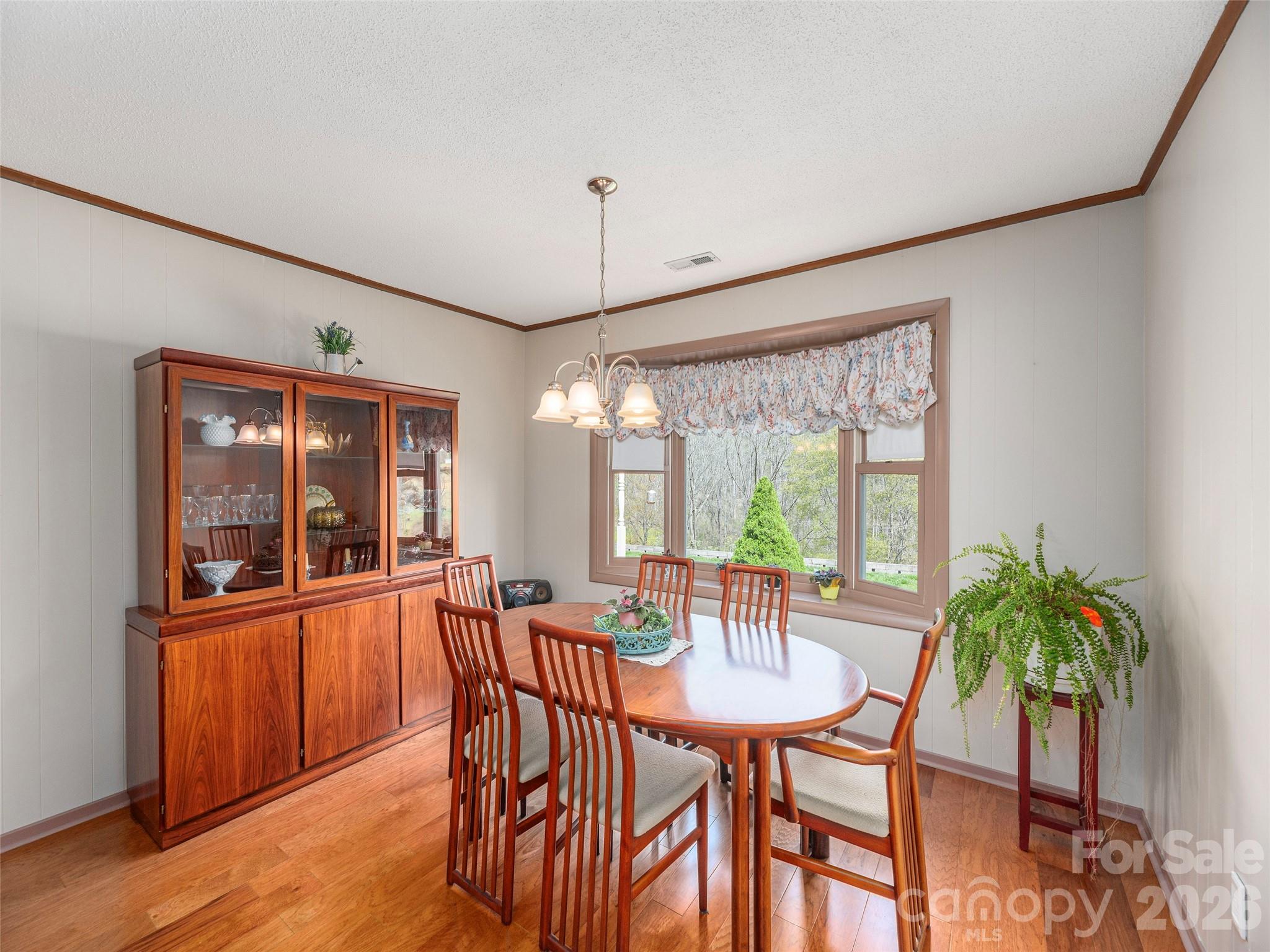 444 Martin Branch Road Leicester, NC 28748 - Photo 12 of 40
