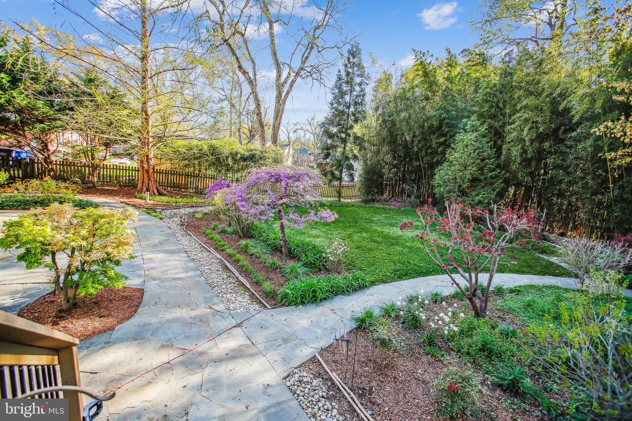 8704 Bradgate Road Alexandria, VA 22308 - Photo 9 of 50 Gallery Image 9