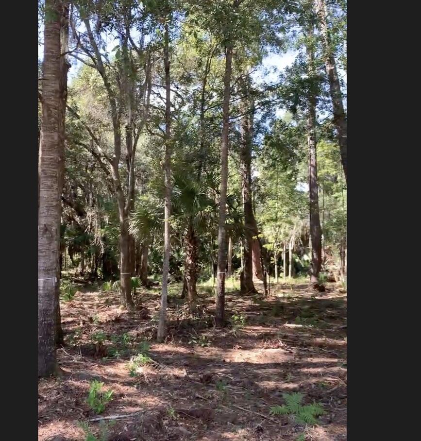 188 Vinson Road Bluffton, SC 29910 - Photo 2 of 7 beyc68de9fa4b3c58