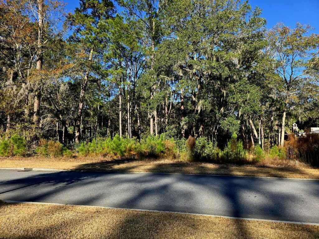 188 Vinson Road Bluffton, SC 29910 - Photo 3 of 7 beyc6946c4a662991