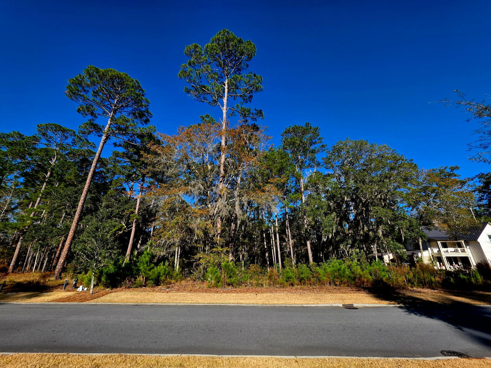 188 Vinson Road Bluffton, SC 29910 - Photo 5 of 7 beyc6946c4a5edd66
