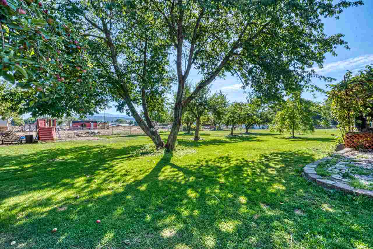 3606 North Garry Road Otis Orchards, WA 99027 - Photo 15 of 20 Gallery Image 15