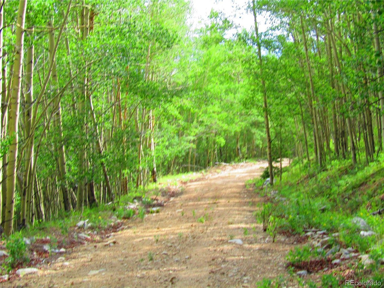 6427 Laffin Road San Luis, CO 81152 - Photo 11 of 42 a pathway of a yard