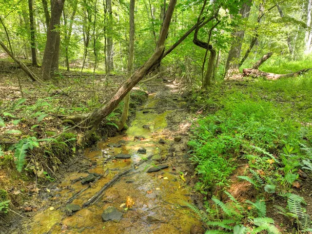 a view of a dining room with furniture large windows and wooden floor