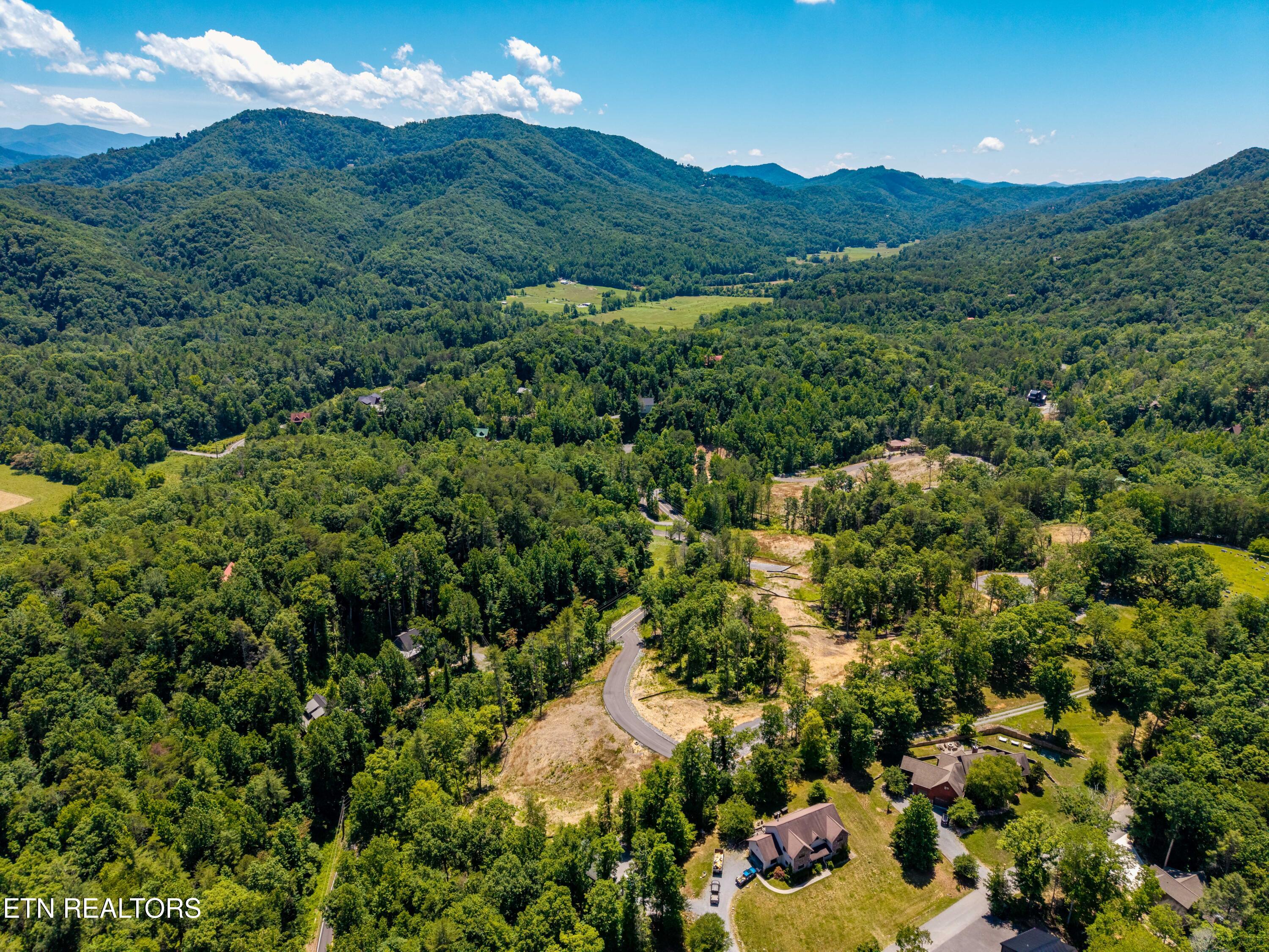 Waldens Creek Road Sevierville, TN 37862 - Photo 17 of 46 WaldensCreekRd-17