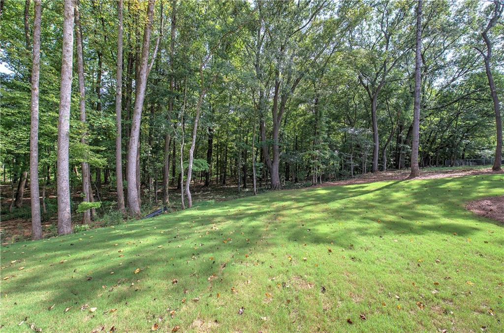 10 Dove Pointe Euharlee, GA 30145 - Photo 52 of 61 a backyard of a house with large trees