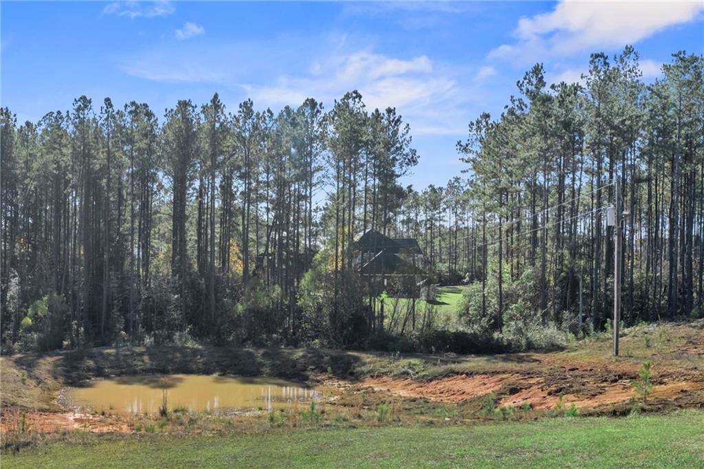 19150 Petit Road Franklinton, LA 70438 - Photo 36 of 38