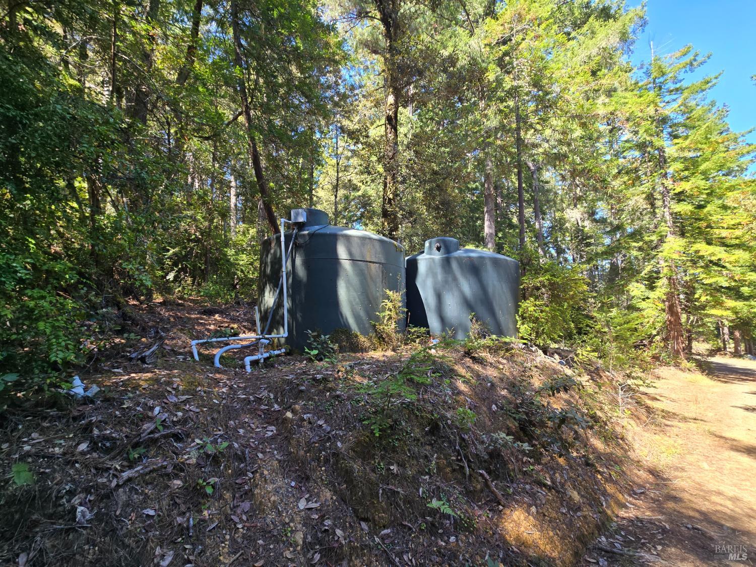40741 Garcia River Road Point Arena, CA 95468 - Photo 19 of 23 Gallery Image 19