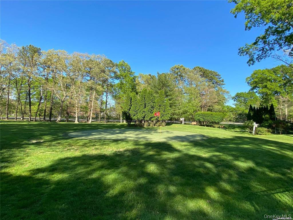 274 Berwick Court, Unit A Ridge, NY 11961 - Photo 8 of 26 a view of a park with large trees