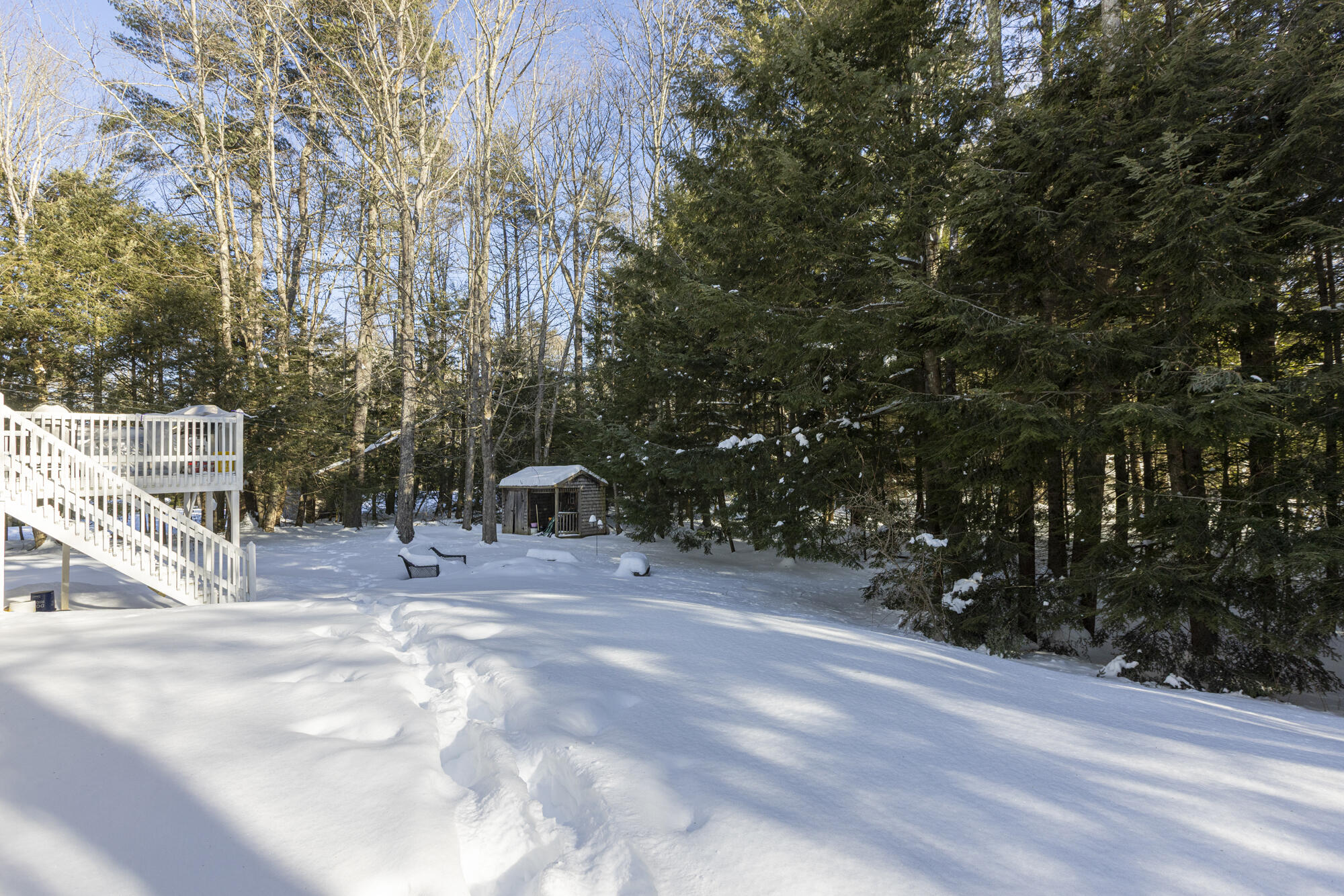 3 Trapper John Road Scarborough, ME 04074 - Photo 42 of 55 Back yard